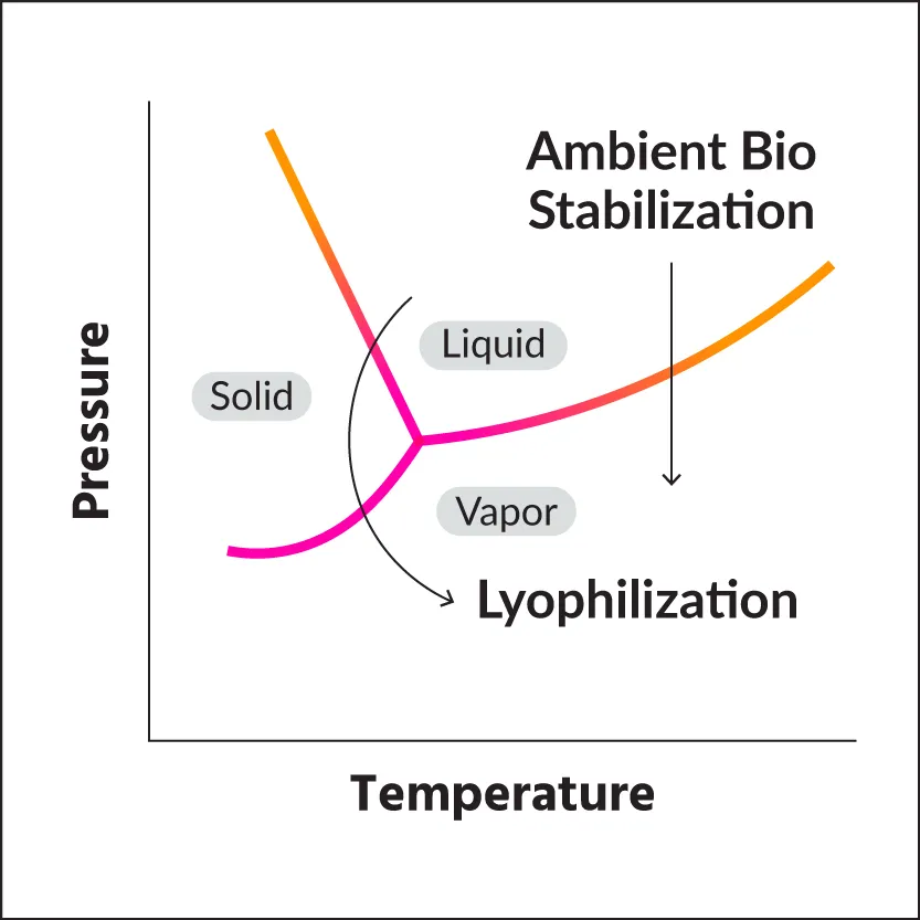 graphic-stabilization-technology-04